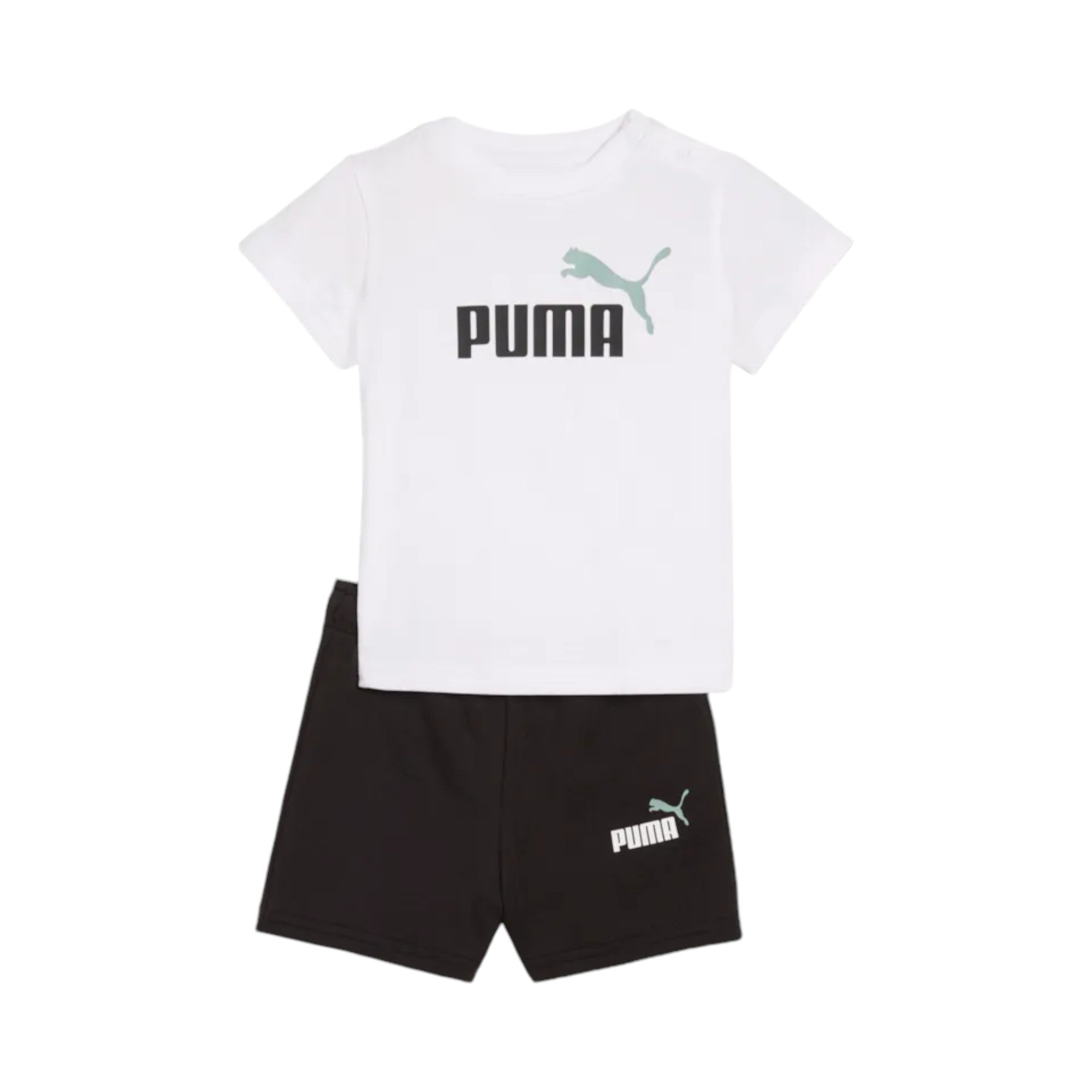 SET PUMA MINICATS