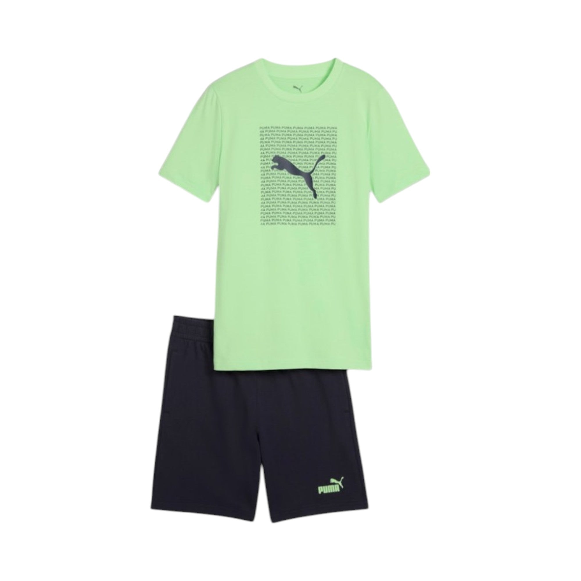 SET PUMA ESS LOGO