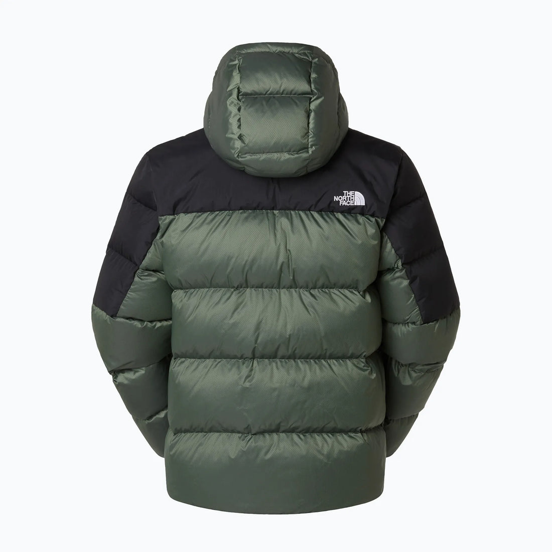 GIUBBINO THE NORTH FACE M DIABLO DOWN 2.0