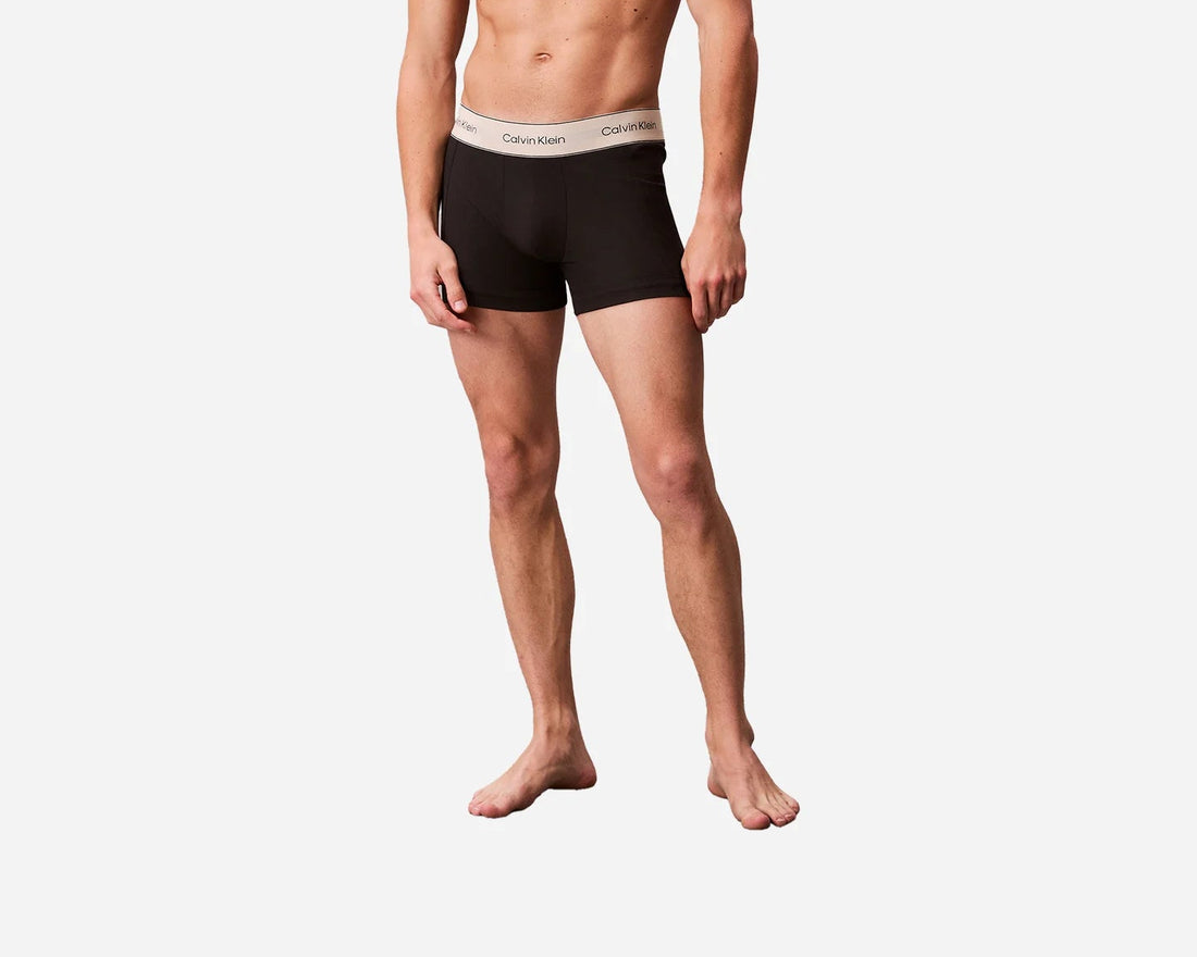 BOXER CALVIN KLEIN 3PACK